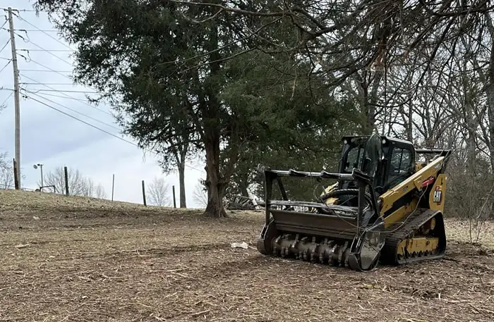 Forestry Mulching