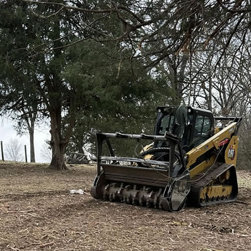 Forestry Mulching
